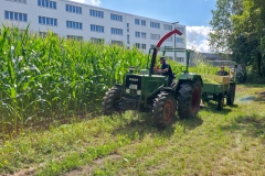 20260823-Altstadtfest2-043