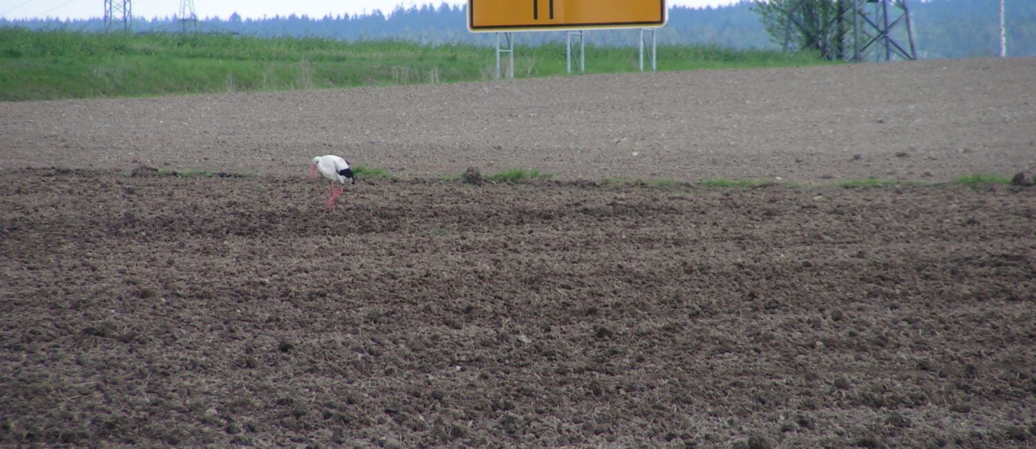 Bauleitplanung